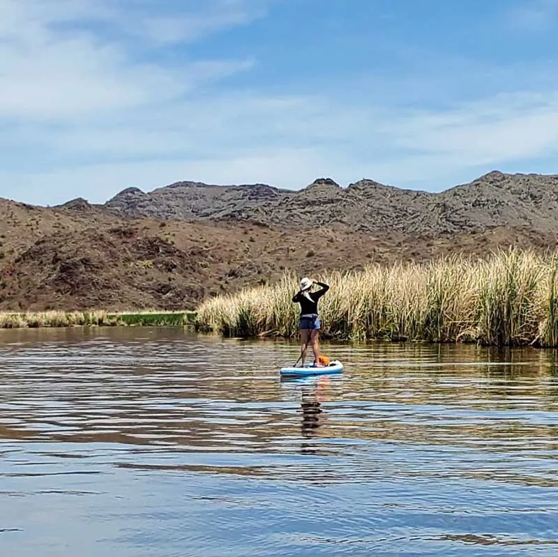 Paddle boarding Bill Williams in Havasu Springs, Lake Havasu with Riverbound Sports.