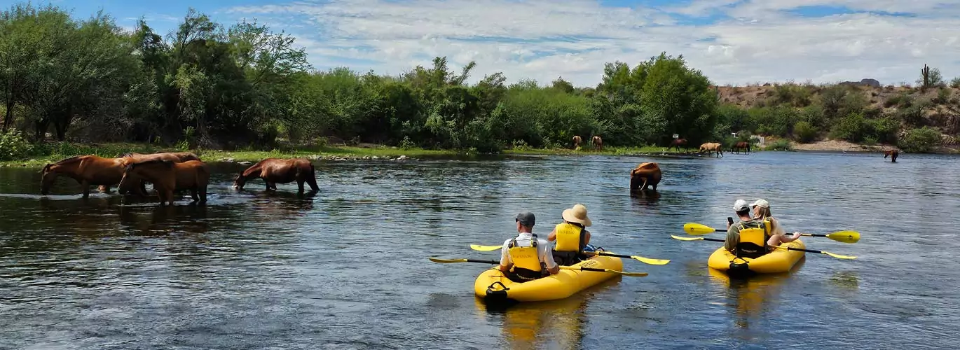 Riverbound Sports Salt River kayaking tour with the wild horses.