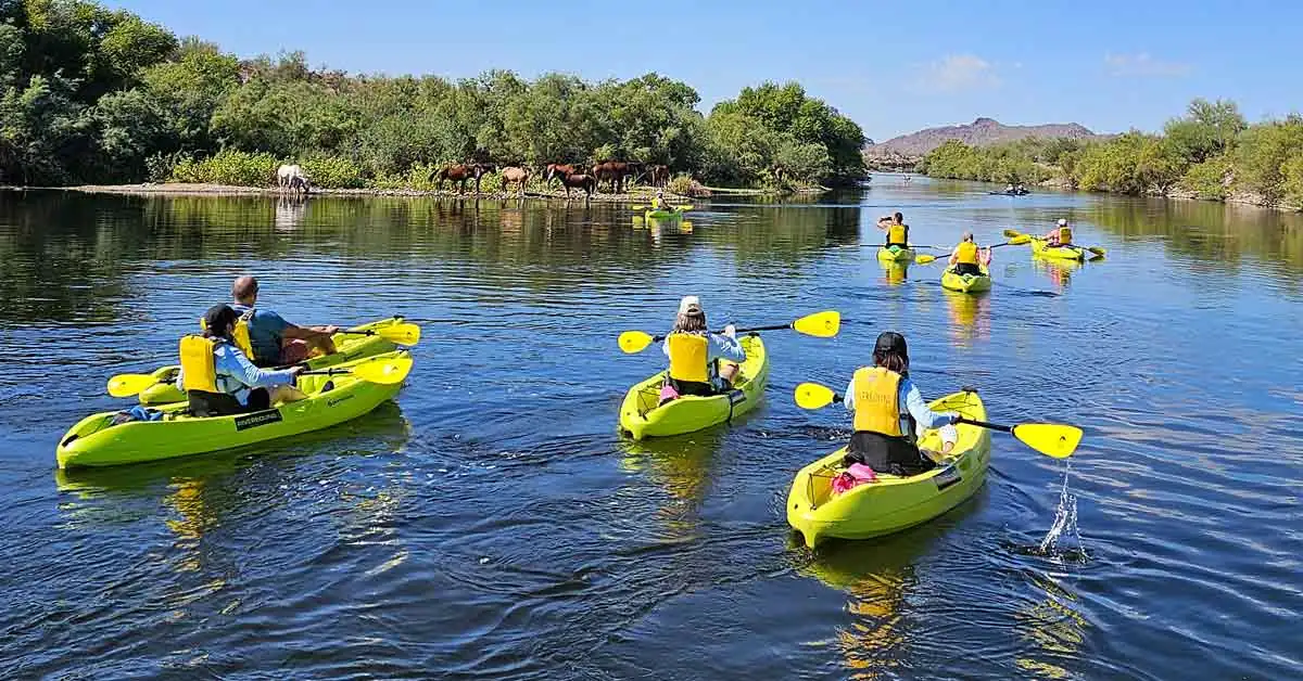 People kayaking on river, horses grazing nearby