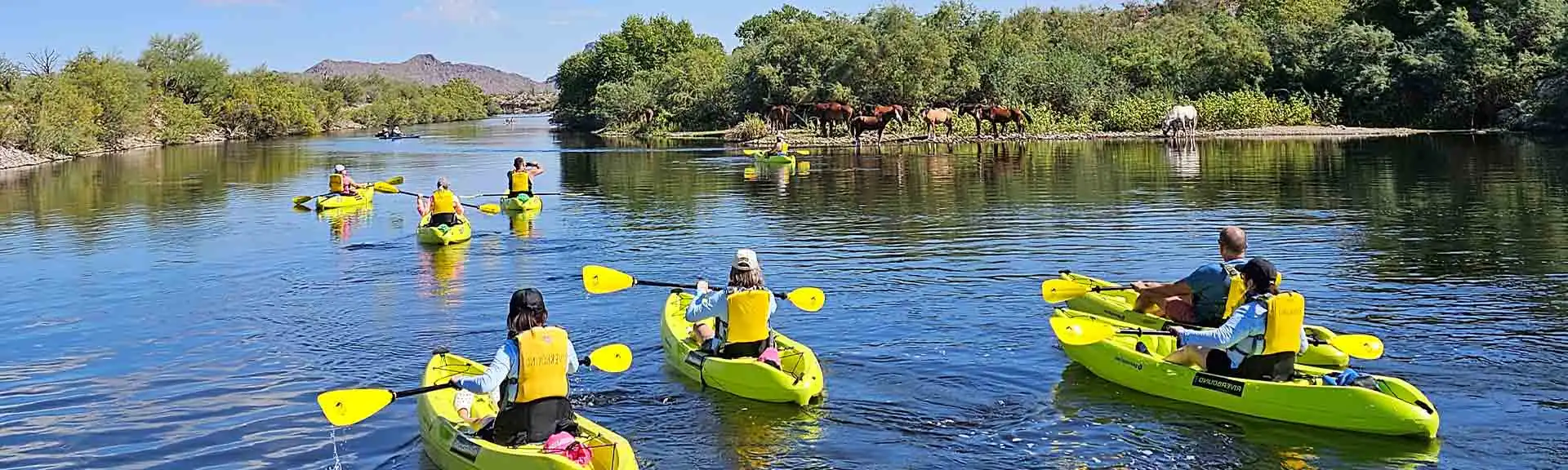 A group kayaking the Lower Salt River with the wild horses along the river on a Riverbound Sports Kayak Tour.