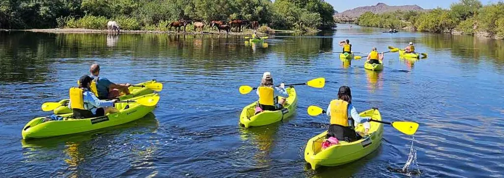 People kayaking on river, horses grazing nearby