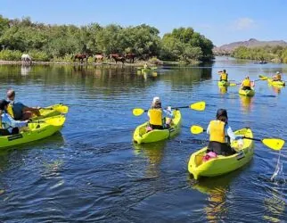 People kayaking on river, horses grazing nearby